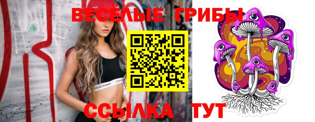 Псилоцибиновые грибы прущие грибы Ахтубинск