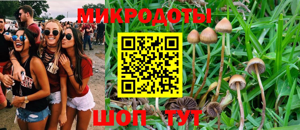 Ахтубинск  Псилоцибиновые грибы MAGIC MUSHROOMS  Псилоцибиновые грибы Magic Shrooms  Вход с VPN 