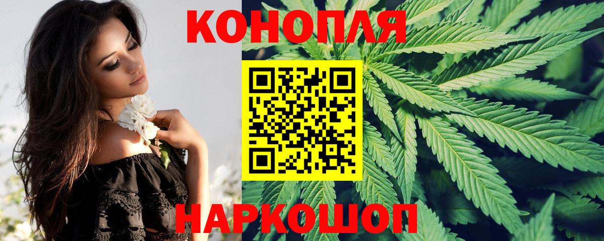 Бошки Шишки SATIVA & INDICA  Вход с VPN  Ахтубинск  Канабис семена 